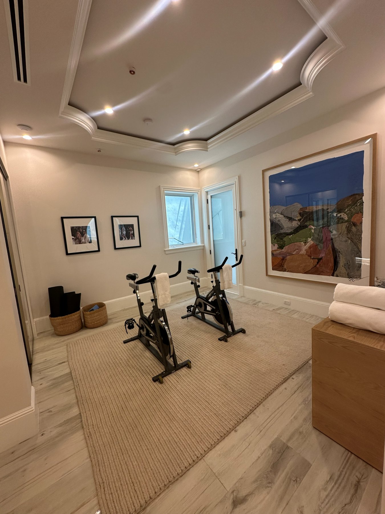 Completed home gym